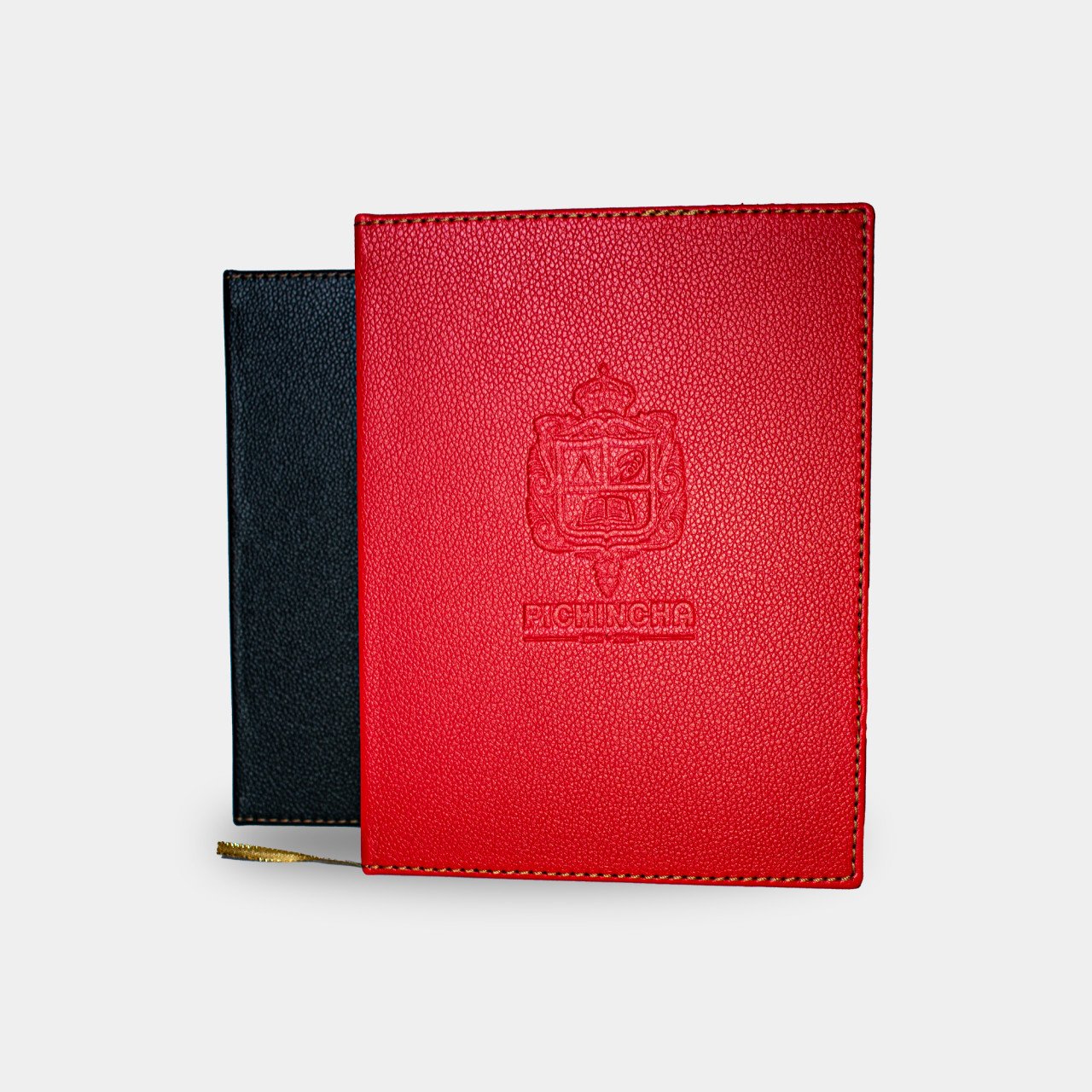 Agenda Institucional